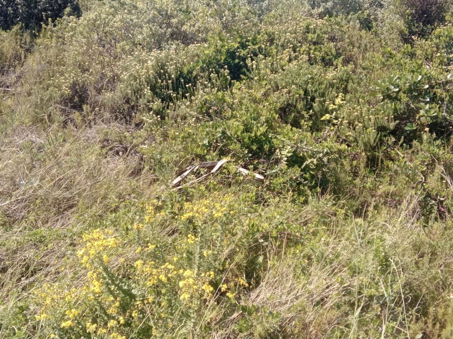 Commercial Property for Sale in Aston Bay Eastern Cape